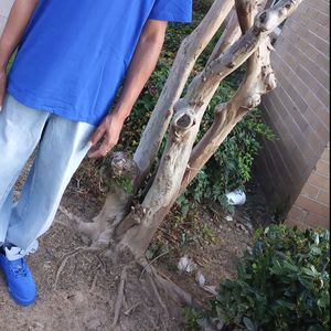 Meet your Posher, Adrian